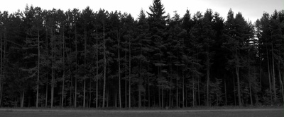 母亲的双眼剧照的剧照