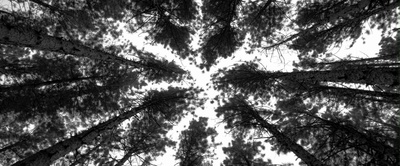 母亲的双眼剧照的剧照