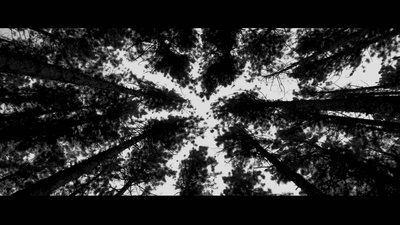 母亲的双眼剧照的剧照