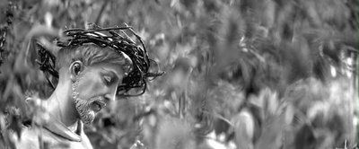 母亲的双眼剧照的剧照