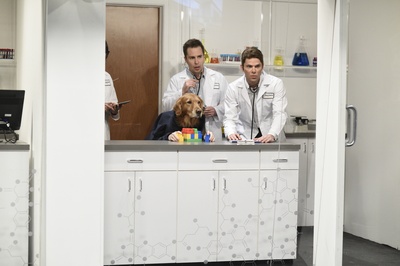 周六夜现场：山姆·洛克威尔/Halsey剧照的剧照