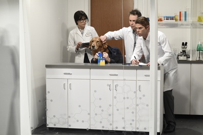 周六夜现场：山姆·洛克威尔/Halsey剧照的剧照