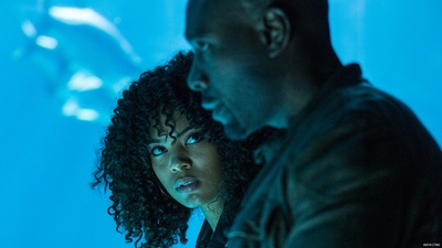 当树枝折断时剧照的剧照