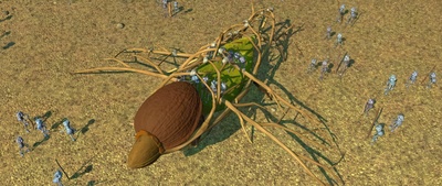 虫虫危机剧照的剧照