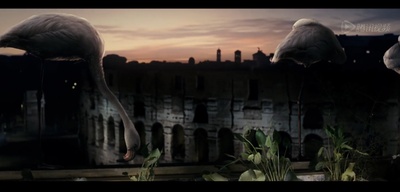 绝美之城剧照的剧照