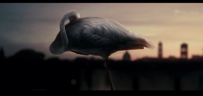 绝美之城剧照的剧照