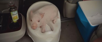 新小屁孩日记剧照的剧照