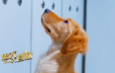 忠犬大营救剧照的剧照
