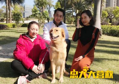 忠犬大营救剧照的剧照