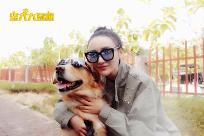 忠犬大营救剧照的剧照