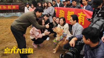 忠犬大营救剧照的剧照