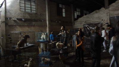 忠犬大营救剧照的剧照