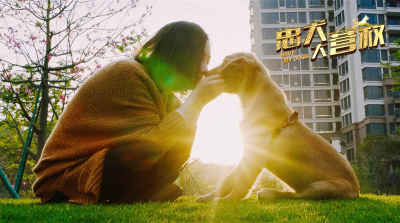 忠犬大营救剧照的剧照