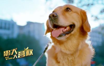 忠犬大营救剧照的剧照