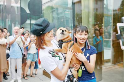 泡芙小姐剧照的剧照