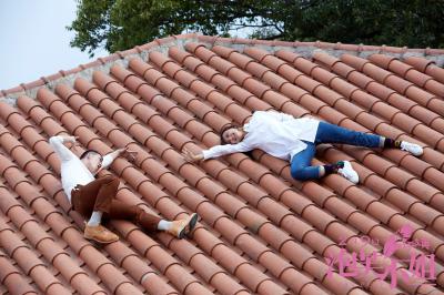 泡芙小姐剧照的剧照