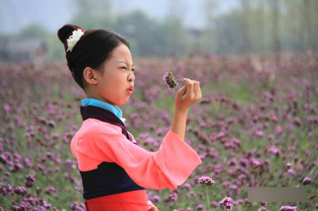 小戏骨：花木兰剧照的剧照