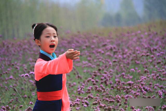 小戏骨：花木兰剧照的剧照