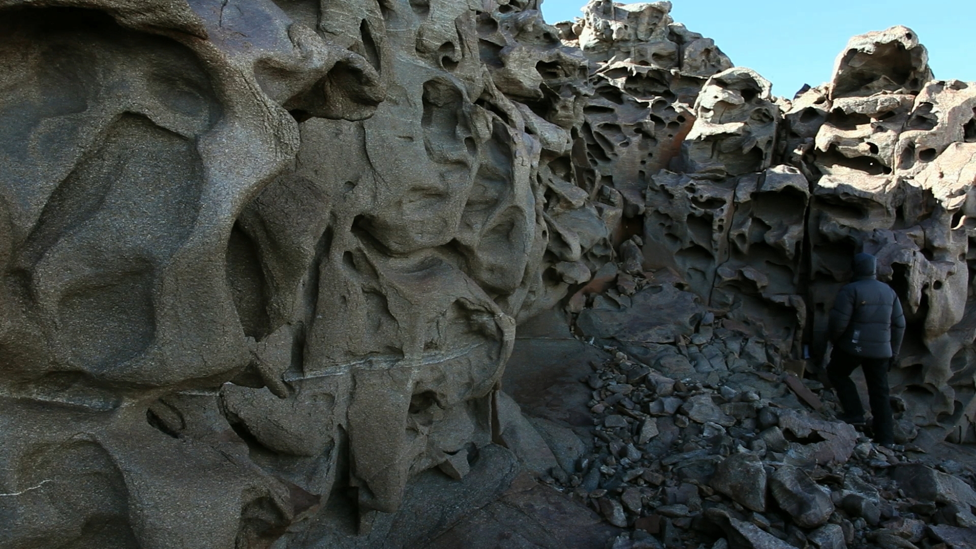 南极洲：冰上的一年剧照的剧照