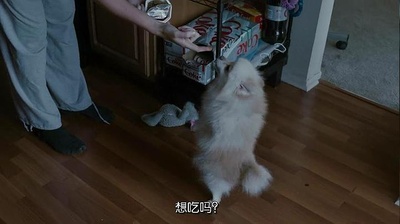 青少年剧照的剧照