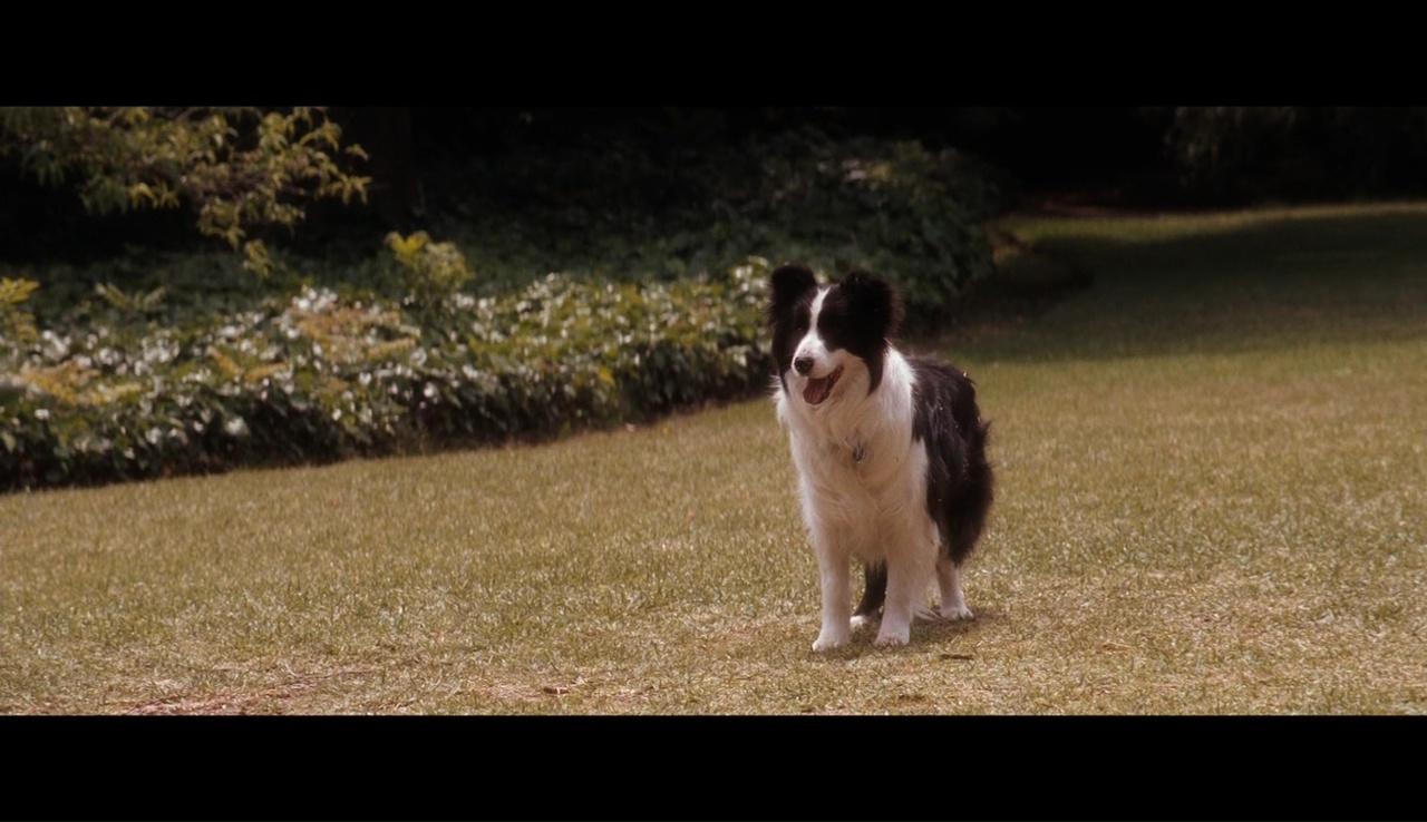 姐姐的守护者剧照的剧照