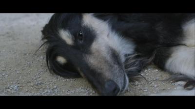 举报者剧照的剧照