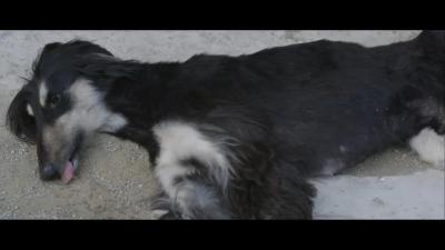 举报者剧照的剧照