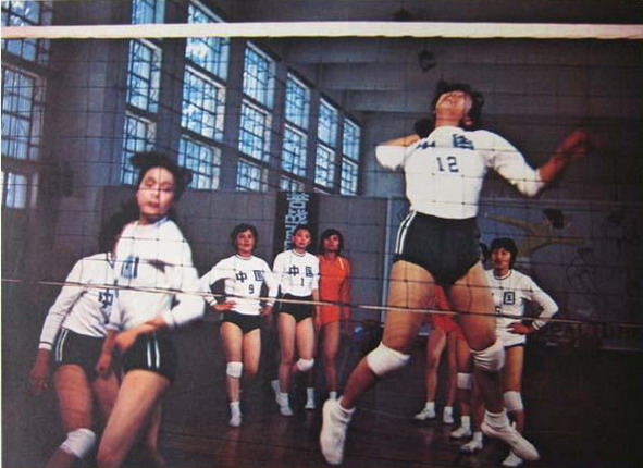 沙鸥剧照的剧照