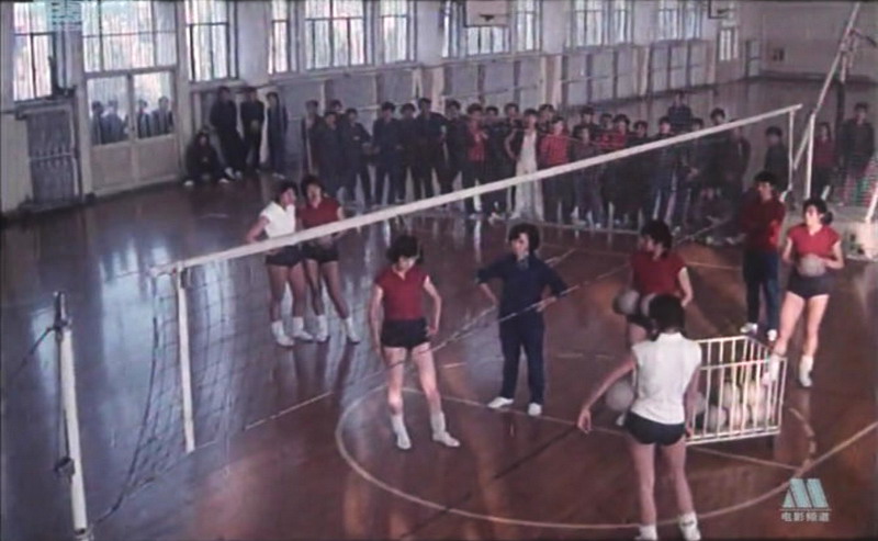 沙鸥剧照的剧照