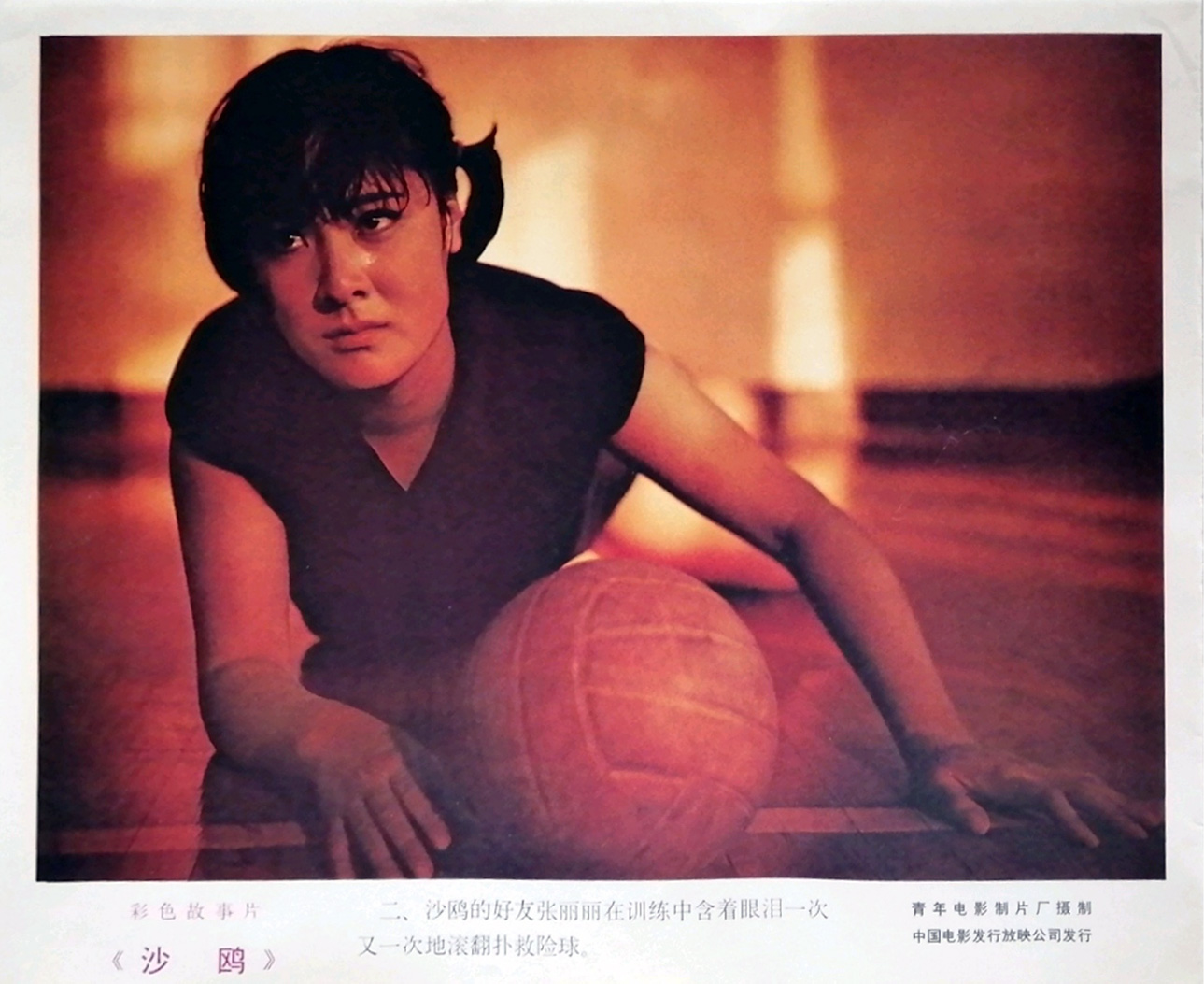 沙鸥剧照的剧照