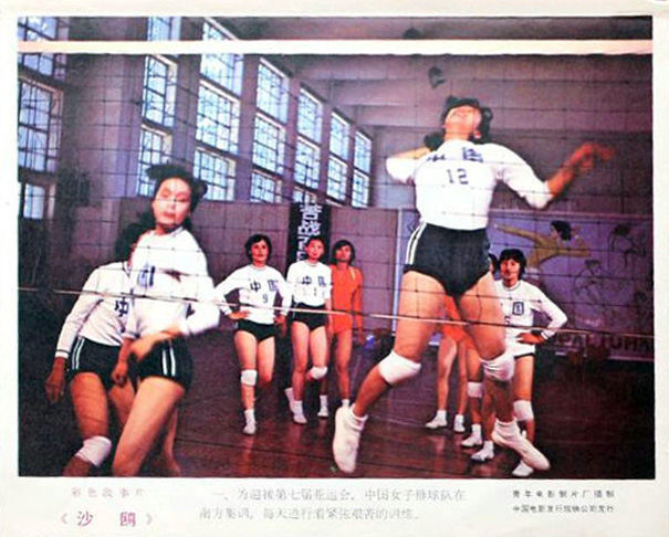 沙鸥剧照的剧照