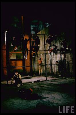 西区故事剧照的剧照