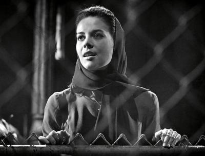 西区故事剧照的剧照