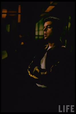 西区故事剧照的剧照