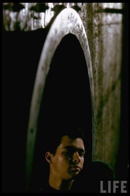 西区故事剧照的剧照