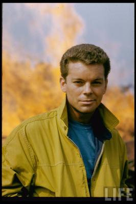 西区故事剧照的剧照