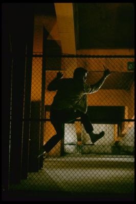 西区故事剧照的剧照