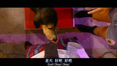 定制伴郎剧照的剧照