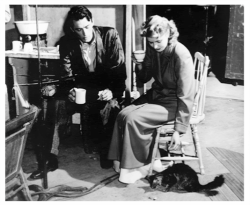 爱德华大夫剧照的剧照