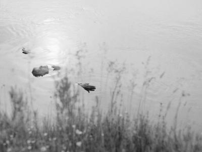 冷战剧照的剧照