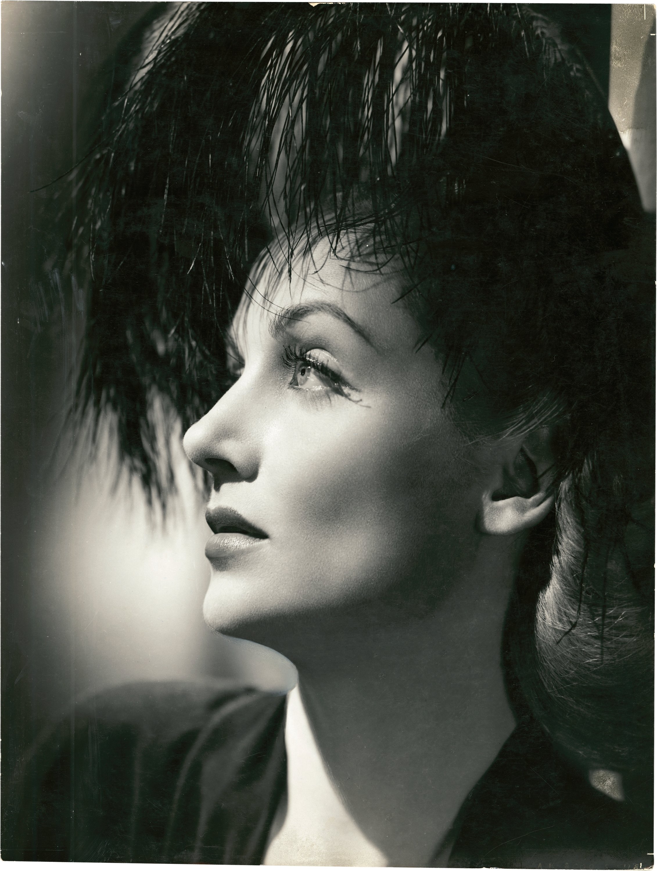 你逃我也逃剧照的剧照