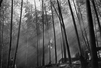 侠女剧照的剧照