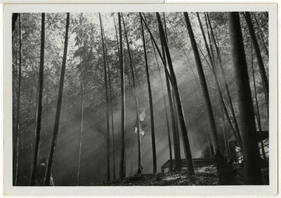 侠女剧照的剧照