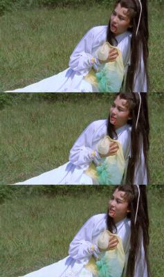 杨过与小龙女剧照的剧照