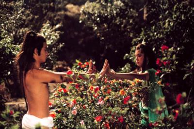 杨过与小龙女剧照的剧照