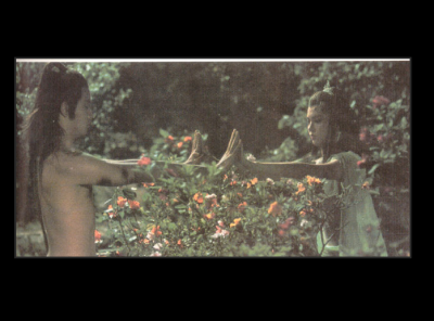 杨过与小龙女剧照的剧照