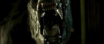 湮灭剧照的剧照