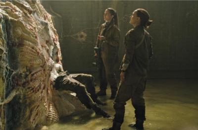 湮灭剧照的剧照