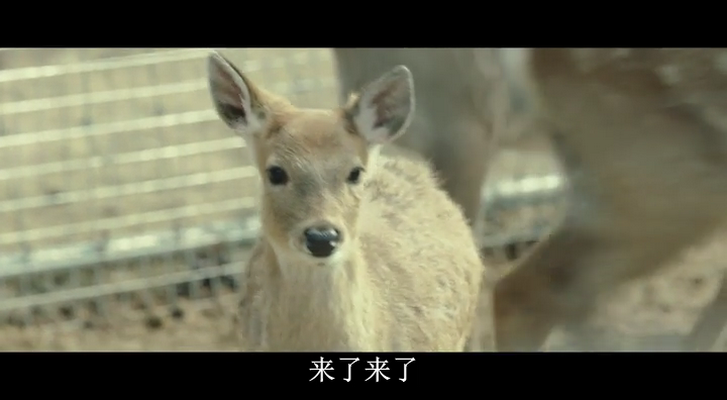 回家的路剧照的剧照