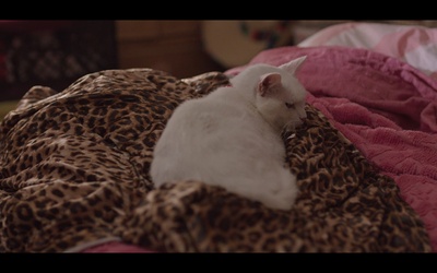 你好，我叫多蕾丝剧照的剧照